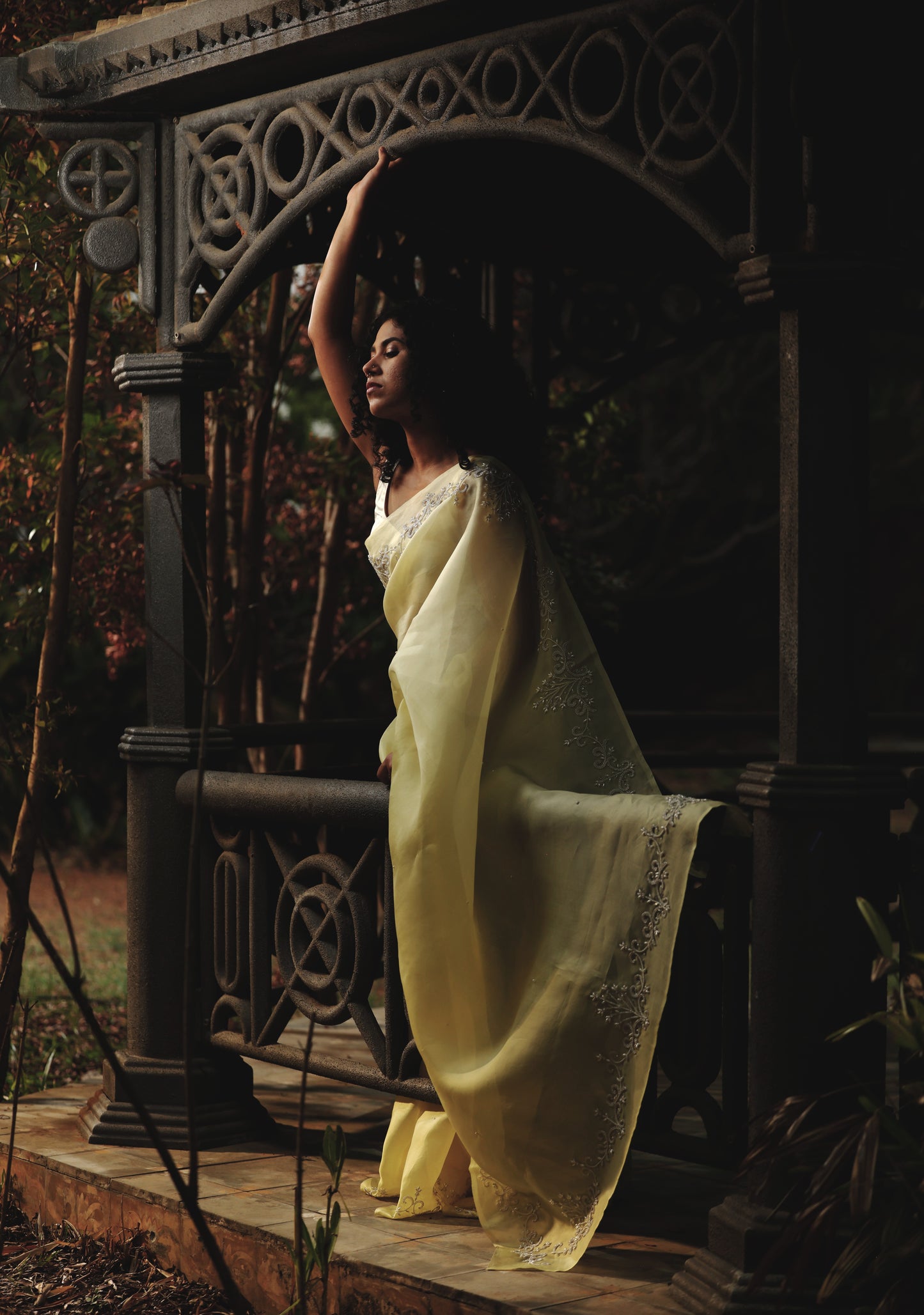 Sunlit Pearls